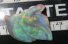 Semi Black Opal.jpg