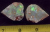 Fossil Shell, Opal.jpg